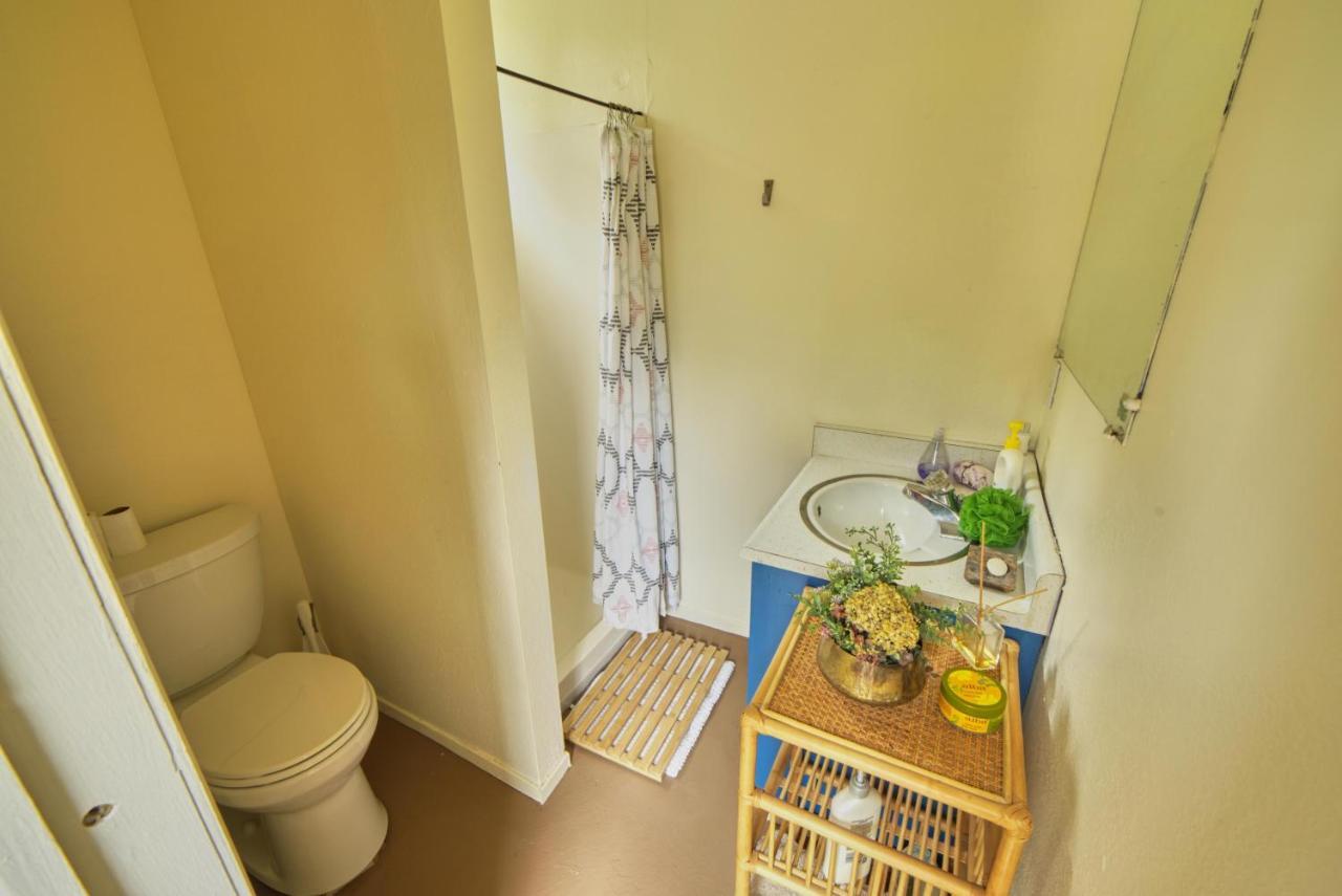 Rivers Breeze Relaxing Riverside Cabin With Private Suite Kayaks Healdsburg Ngoại thất bức ảnh